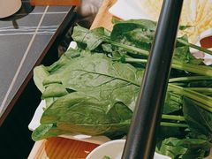 -蜀九香火锅(彩虹店)