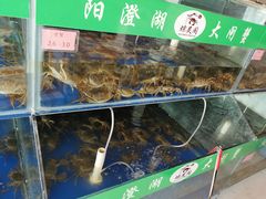 水产区-阳澄湖大闸蟹·琼灵阁牌品牌连锁(吴中总店)