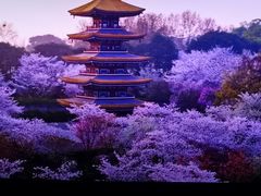 -英皇电影城(英皇集团中心IMAX店)