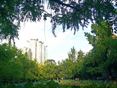 -四川大学(华西校区)