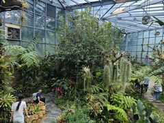 -东莞植物园