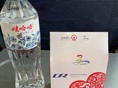 -沈阳站