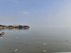 -巢湖姥山岛