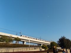 -宝安西湾红树林湿地公园