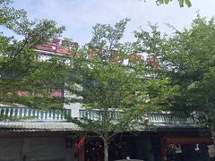 -农厨好味·温泉鹅·农家菜
