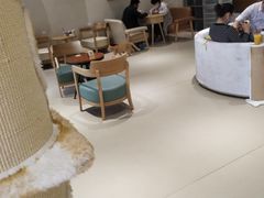 大堂-藏猫猫咖啡主题馆(中央大道店)