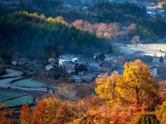 -塔川景区
