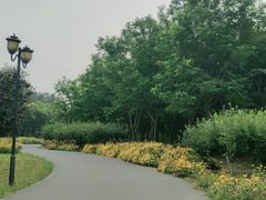 -永定河休闲森林公园