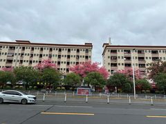 -万达广场(东莞东城店)