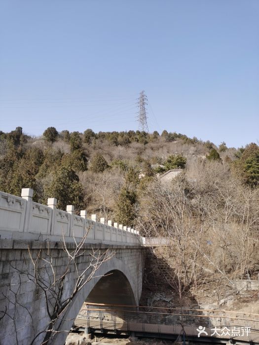白水寺森林公园图片