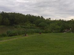 -桤木河湿地公园