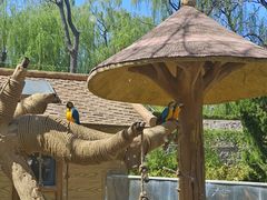 -石家庄市动物园