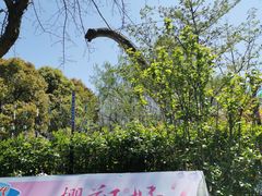 -自然谷恐龙园