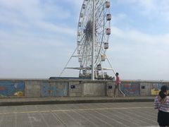 -上海棕榈滩海景酒店