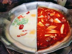 酸菜白肉锅-湊湊火锅·茶憩(东城万达店)