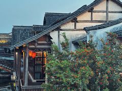 -乌镇西栅景区