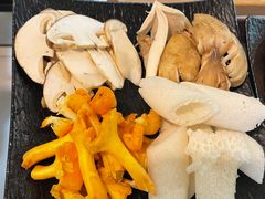 -蘑统田下·野生菌火锅