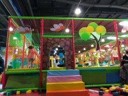 -维佳童话镇演出现场(徐东店)