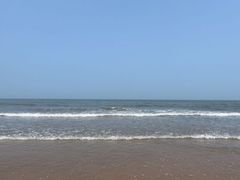 -渡海小渔村.老辈日照菜