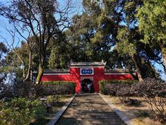 -子昂故里文化旅游区