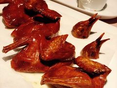 脆皮乳鸽-新荣记(南京西路店)
