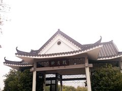 -映月湖公园