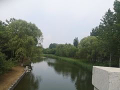 -大兴滨河森林公园