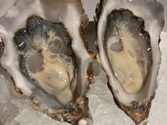 -Oyster Talks 四度蚝法餐厅