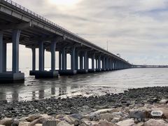 -宝安西湾红树林湿地公园