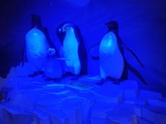 -成都浩海立方海洋公园