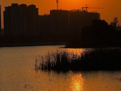 -金沙湖公园