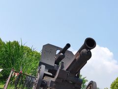 -上海吴淞炮台湾国家湿地公园