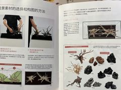 -ADA自然水景世界