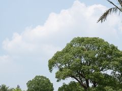 -上海月湖雕塑公园
