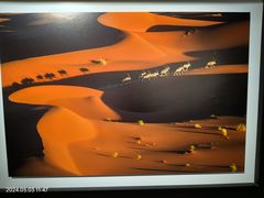 -罗红摄影艺术馆