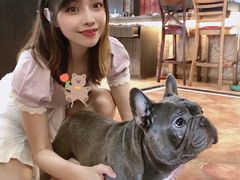 -more than meow吴止猫主题餐厅(承德 中船汇店)