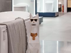 -居然之家(两江国际MALL店)