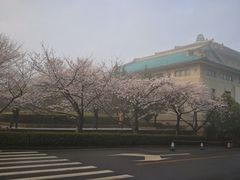 -武汉大学-樱园