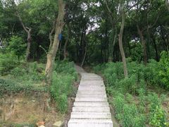 iphone_upload_pic-东湖景区