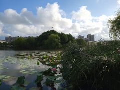-新江湾城公园