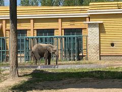 -哈尔滨北方森林动物园