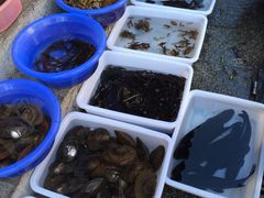 iphone_upload_pic-苍洱春饭店