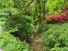 -北仑森林植物园