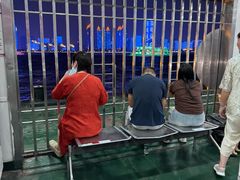 -武汉关码头(轮渡站)