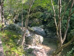 -牛背梁国家森林公园