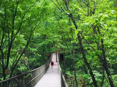 -龙峪湾国家森林公园