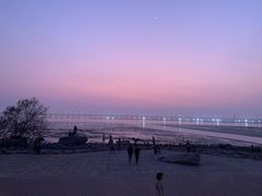 -宝安西湾红树林湿地公园