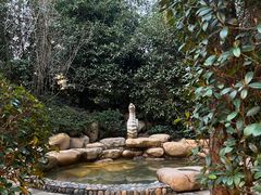 -天目湖涵田半山温泉