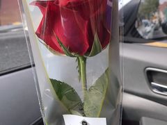 2018年母亲节玫瑰花-阿兹凯乐·老洋房西餐