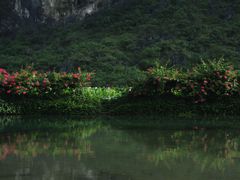 -靖西鹅泉风景区